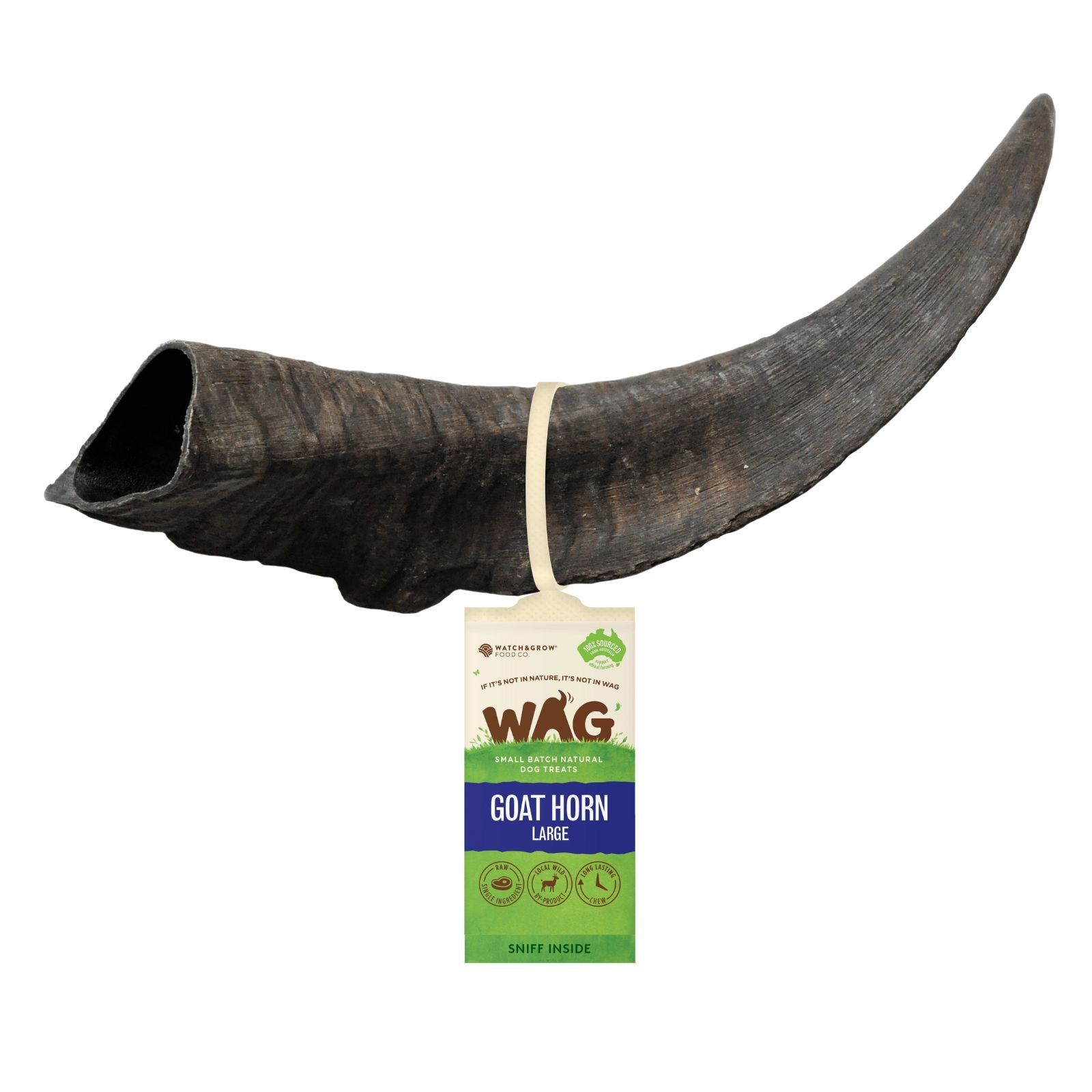 WAG Australian Goat Horn large chew treat for dogs.