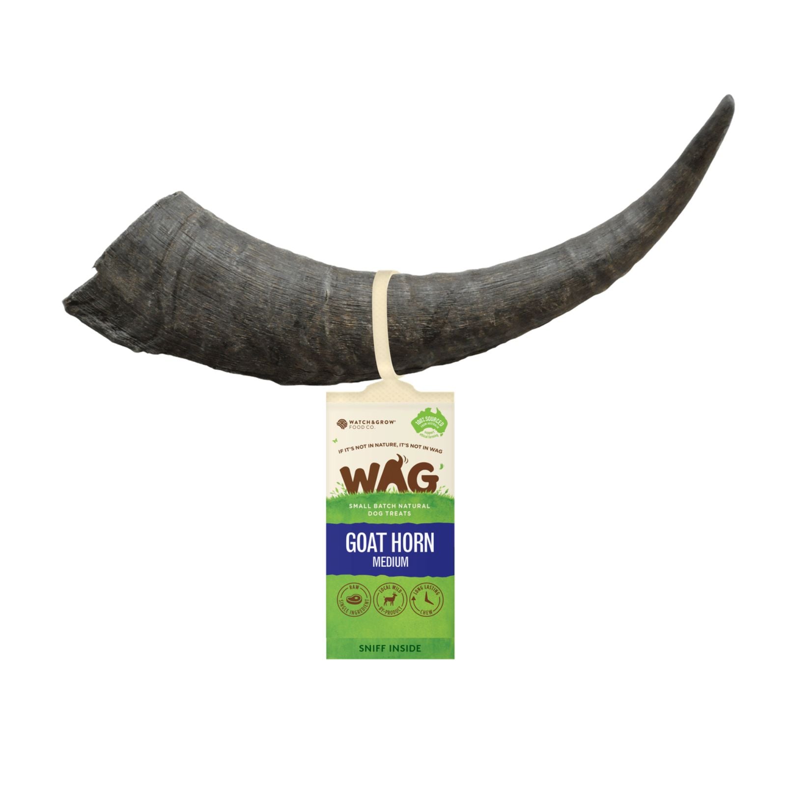 WAG Australian Goat Horn medium chew treat for dogs.