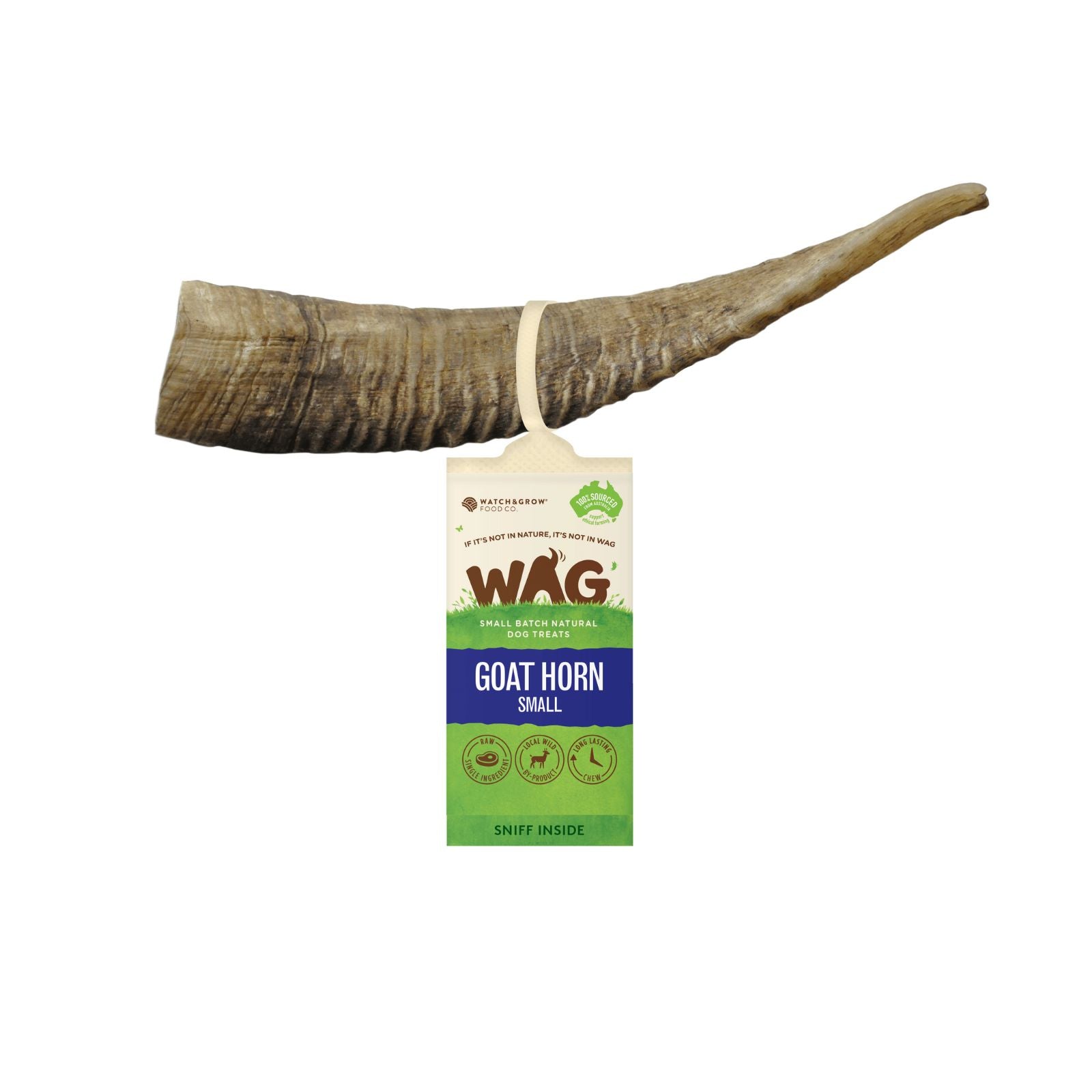 WAG Australian Goat Horn small chew treat for dogs.