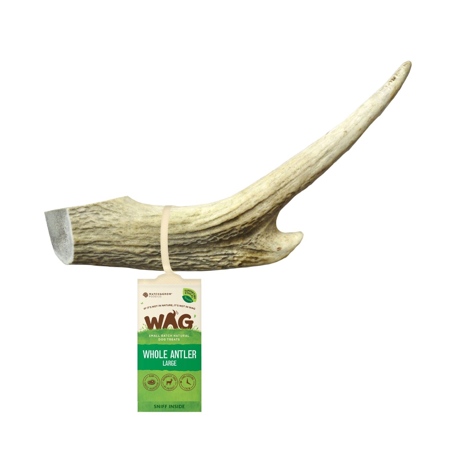 Premium Quality Large Deer Antler Dog Treat for Long-Lasting Chewing