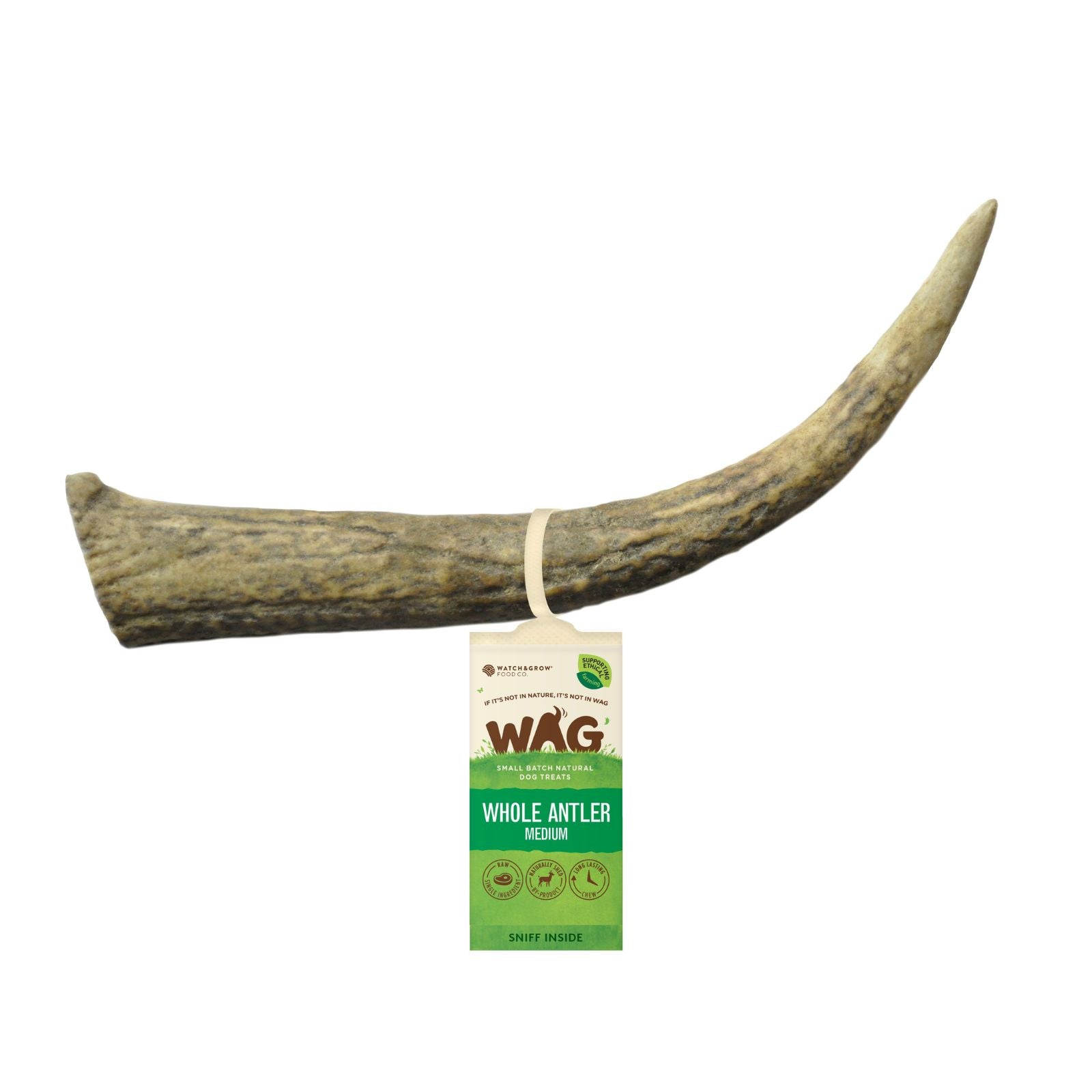 New Zealand Sourced Medium Deer Antler Dog Treat for Strong Chewers