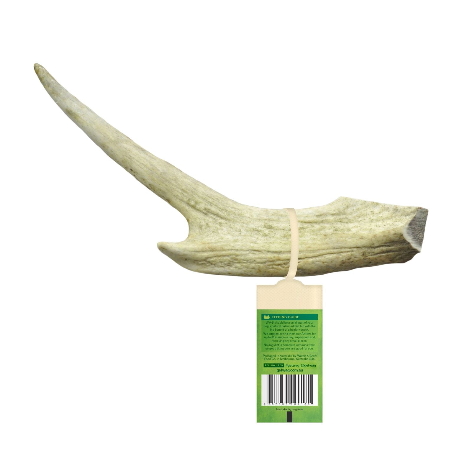 Whole Deer Antler Canine Treat for Aggressive Chewers