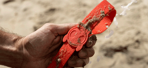 Zee Dog NeoPro Coral Weatherproof Dog Collar - Easy to Clean.