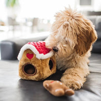 ZippyPaws Festive Holiday Burrow Gingerbread House Interactive Dog Toy