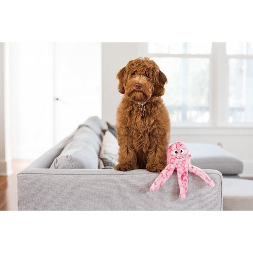 ZippyPaws Floppy Jelly Dog Toy with Squeaker