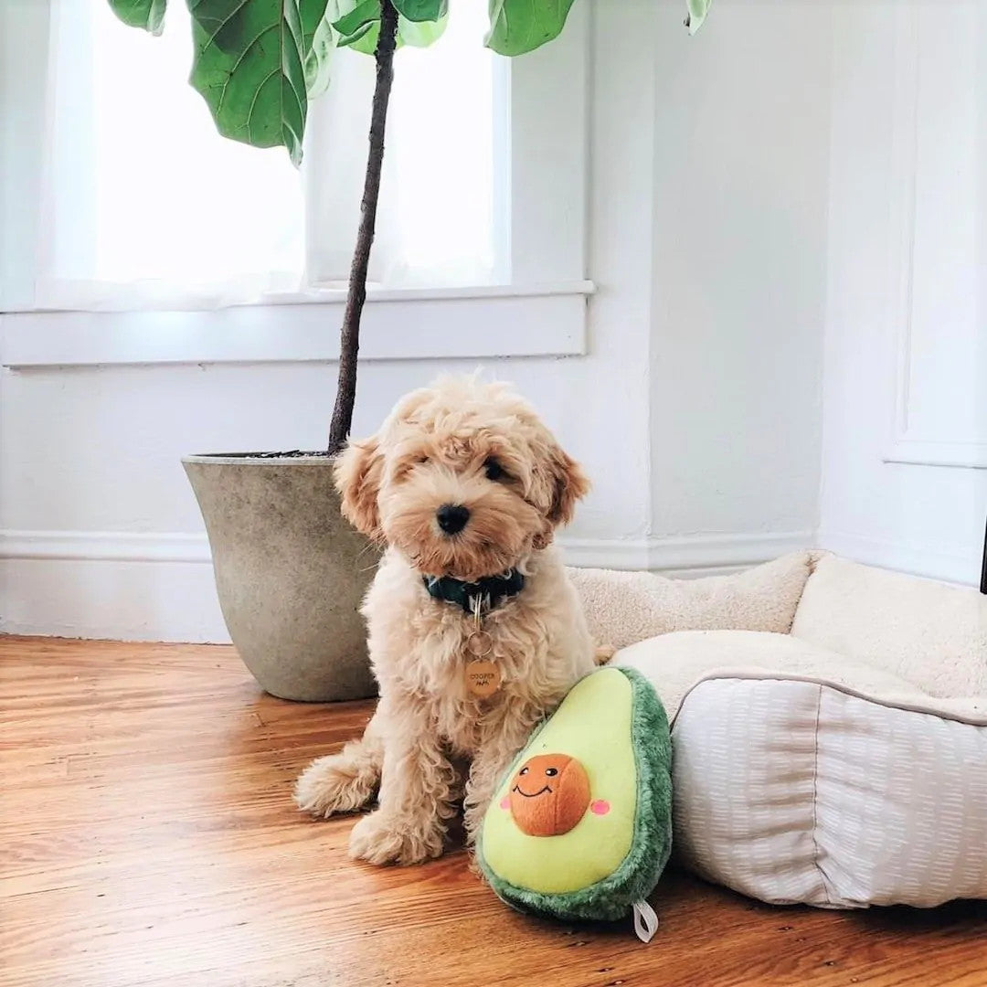 ZippyPaws NomNomz Avocado Plush Dog Toy