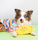 ZippyPaws NomNomz Taco Dog Toy – Squeaky Plush Fun!