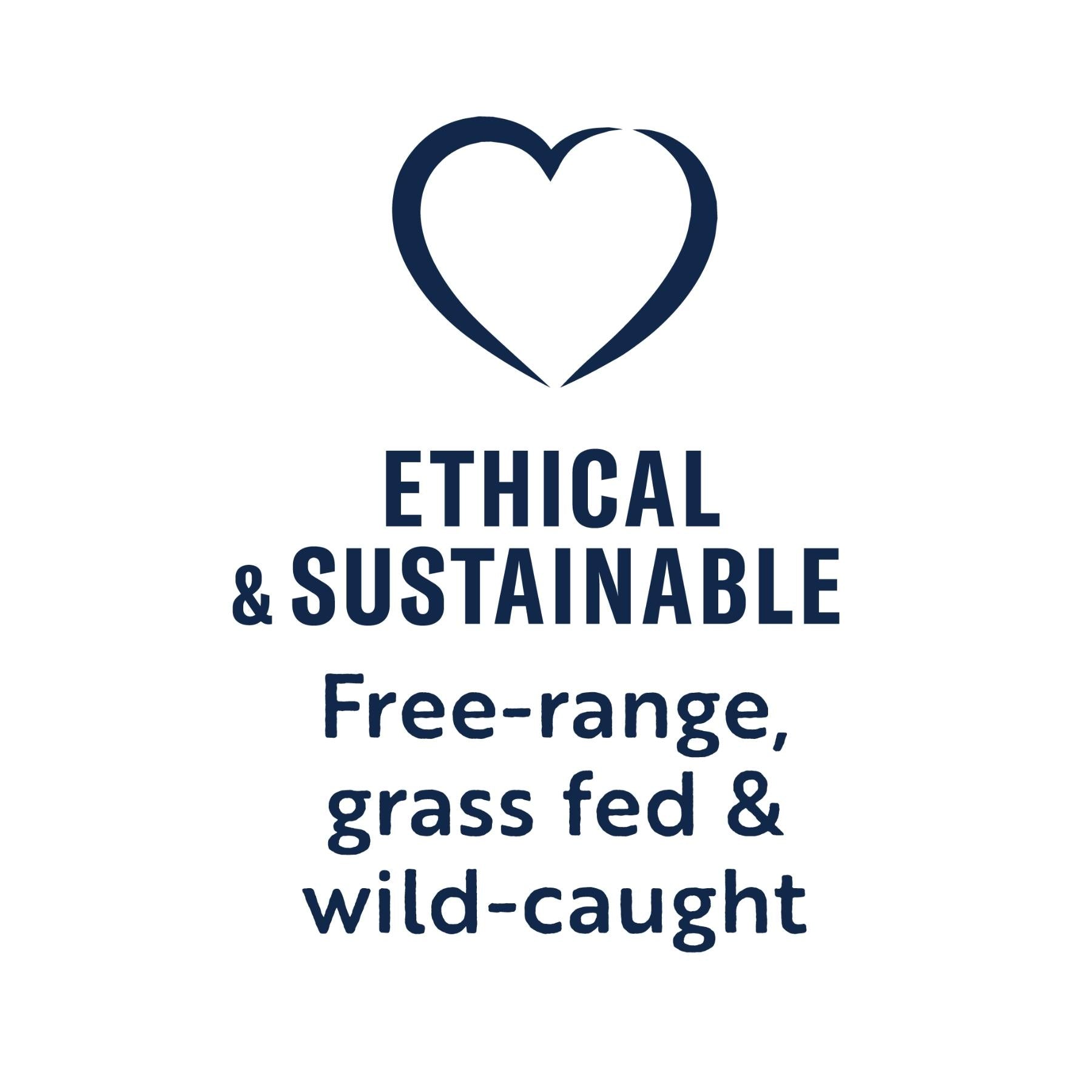 ZIWI Peak Wet Cat Food Mackerel & Lamb Recipe, Ethical and Sustainable, Free Range